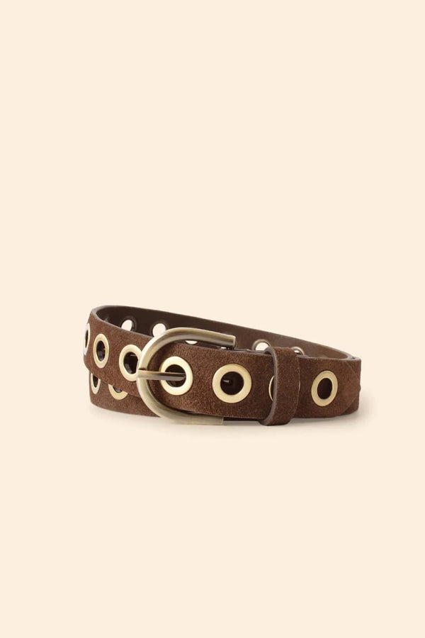 XIRENA FRANCOISE BELT IN ESPRESSO