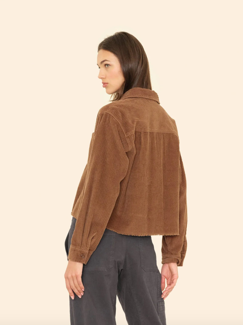 XIRENA BENJI JACKET IN BROWN SABLE