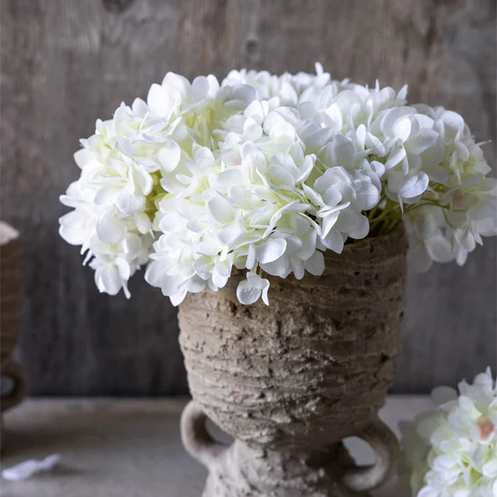 ABIGAIL AHERN HYDRANGEA BLANC