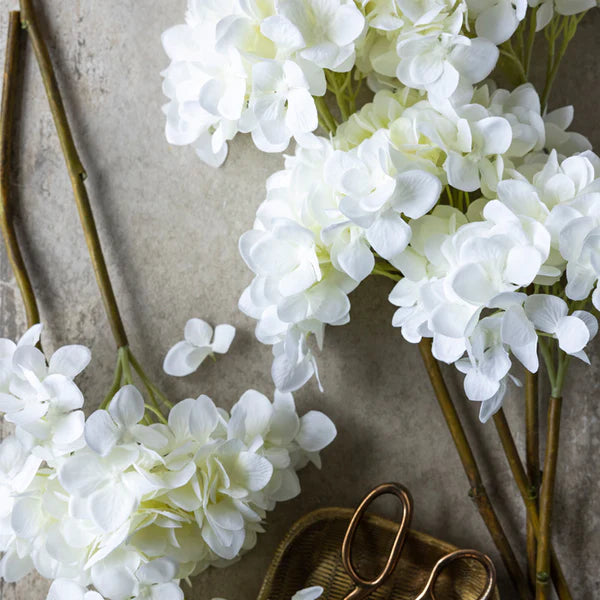 ABIGAIL AHERN HYDRANGEA BLANC