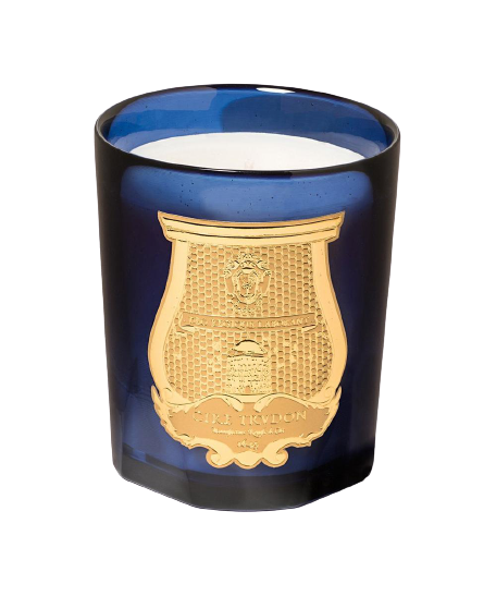 TRUDON Salta Scented Candle 270g